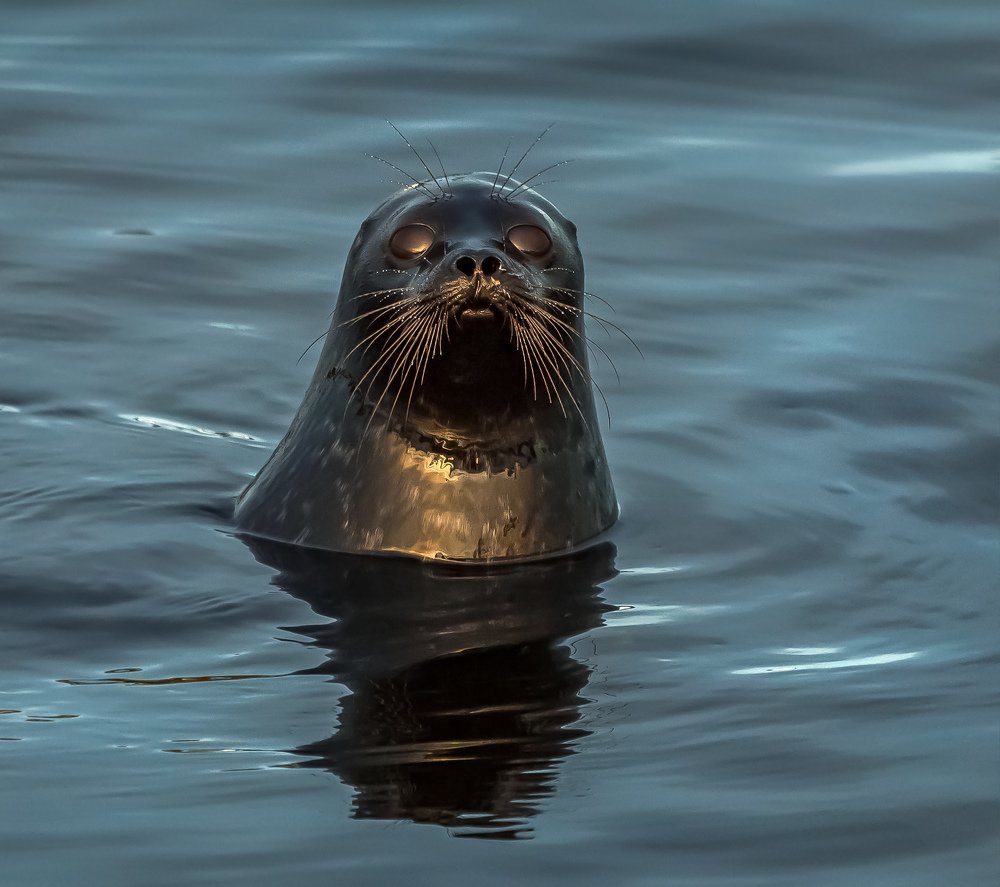 Photograph by Лашков Фёдор