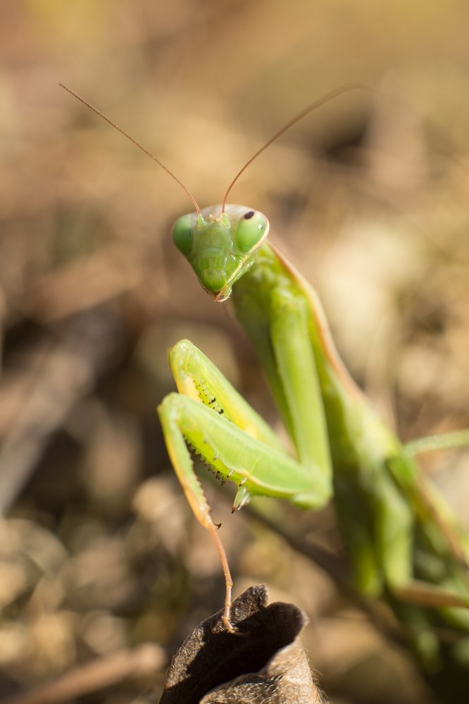 Photograph by Ирина Голомако