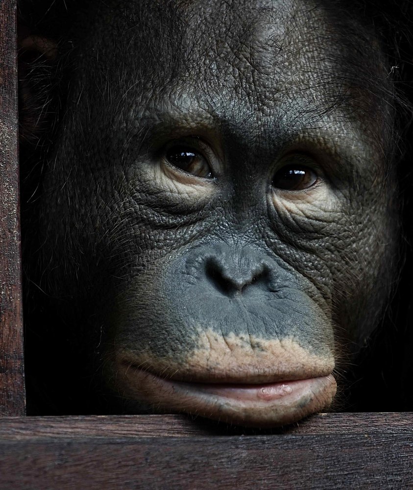 Photograph by  sugianto