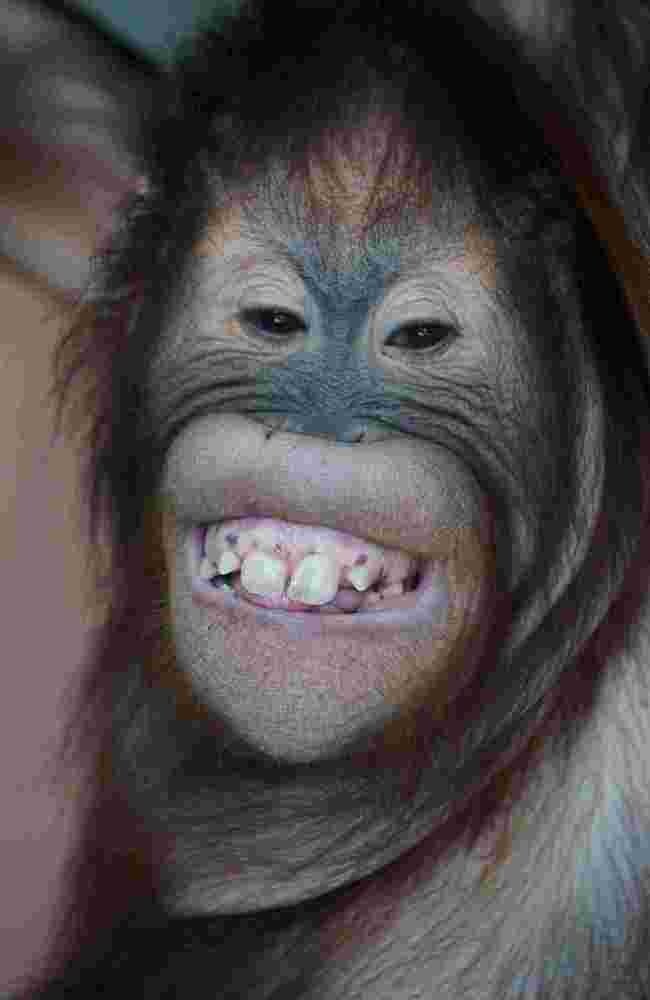 Photograph by  sugianto