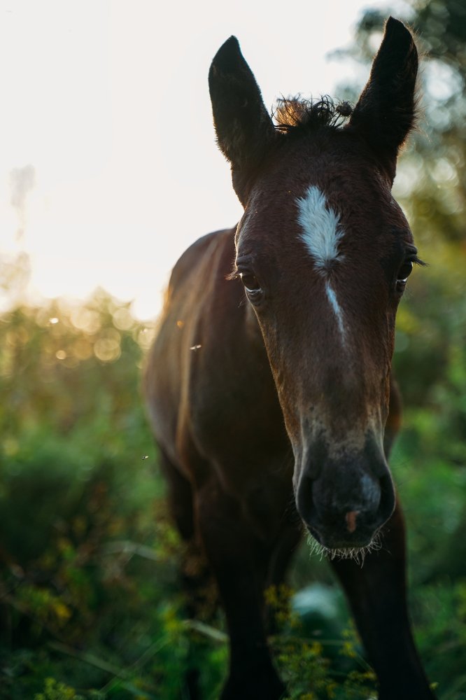 Маленький друг
