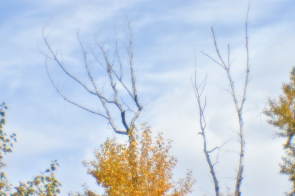 Photograph by Tatyana