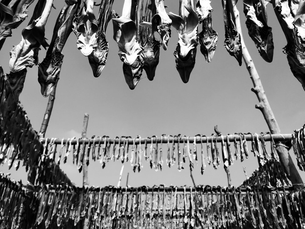 Photograph by Majbaul Hasan