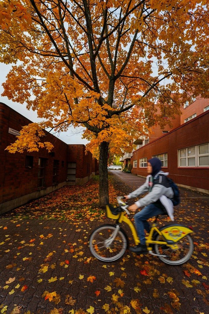 Photograph by Khaled Mohammad Shaad