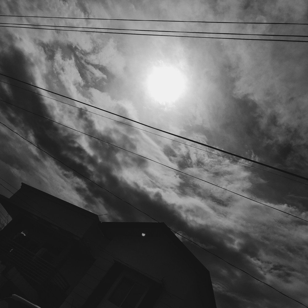Photo #4108870