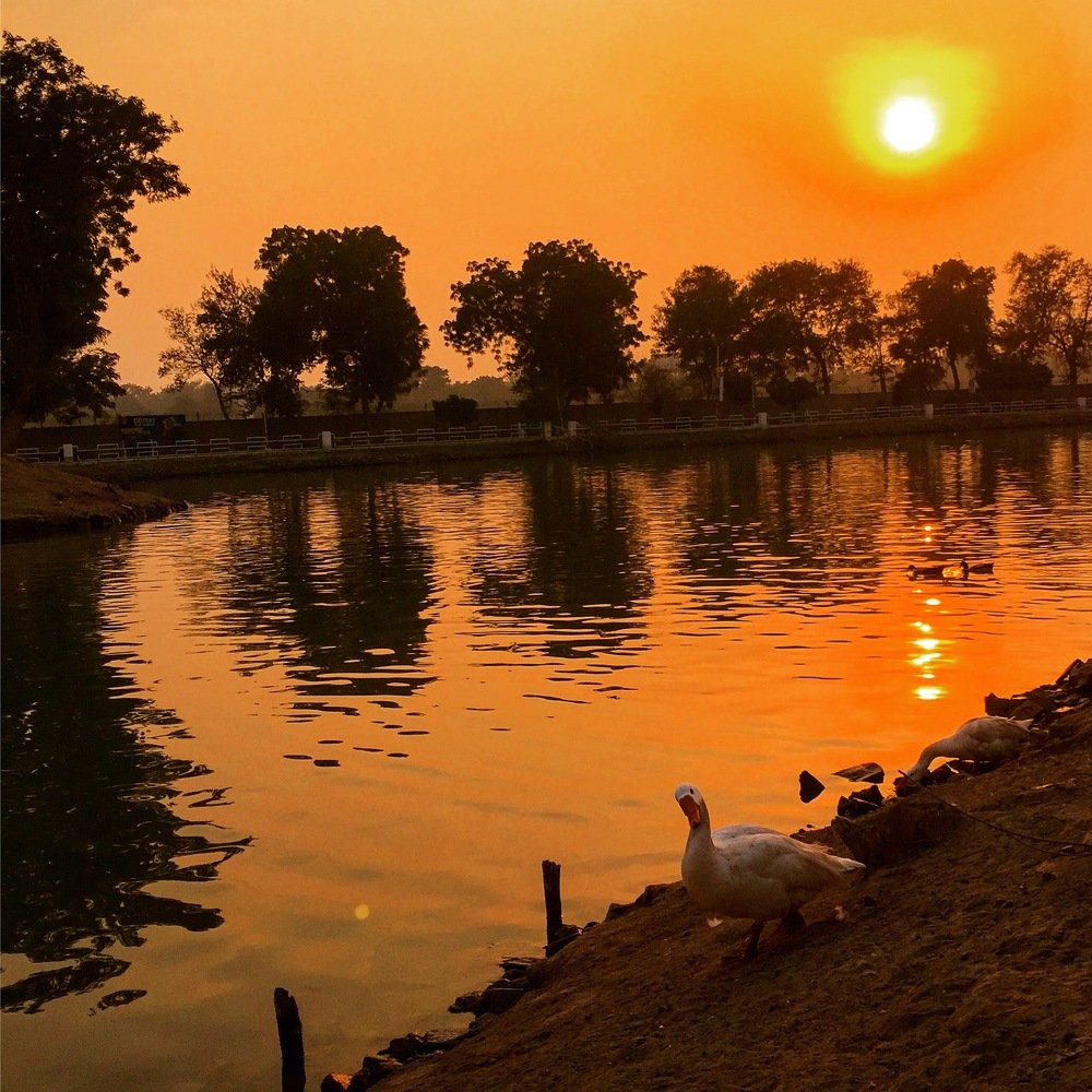 Photograph by Afnan Ali Muhammad