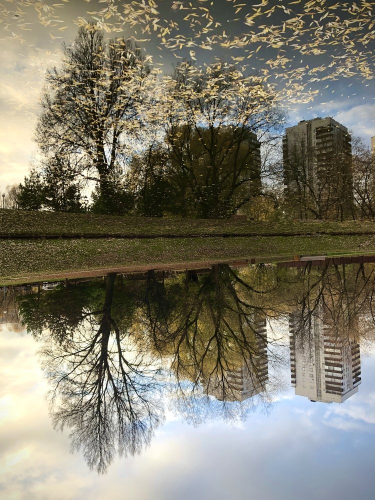 When leaves fly to south. Когда листья улетают на юг