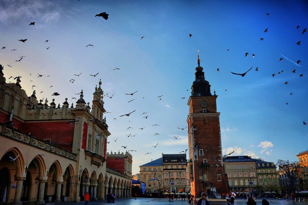 Фотография автора Анастасия Пищулова