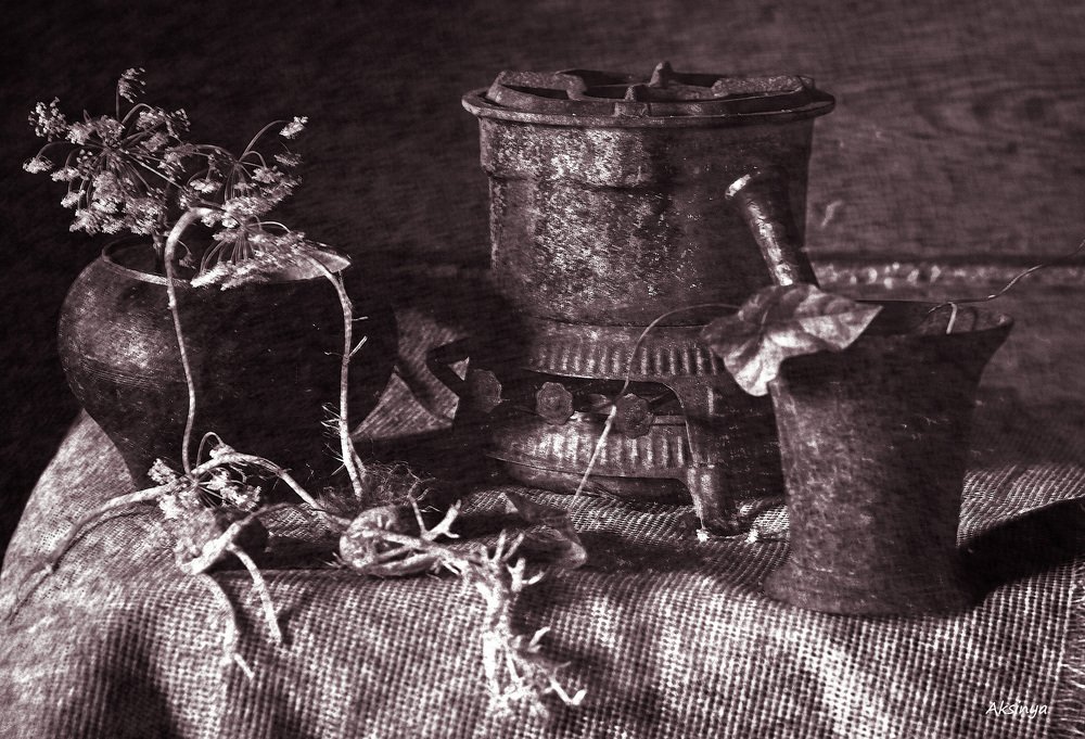 Photograph by Ксения Черных