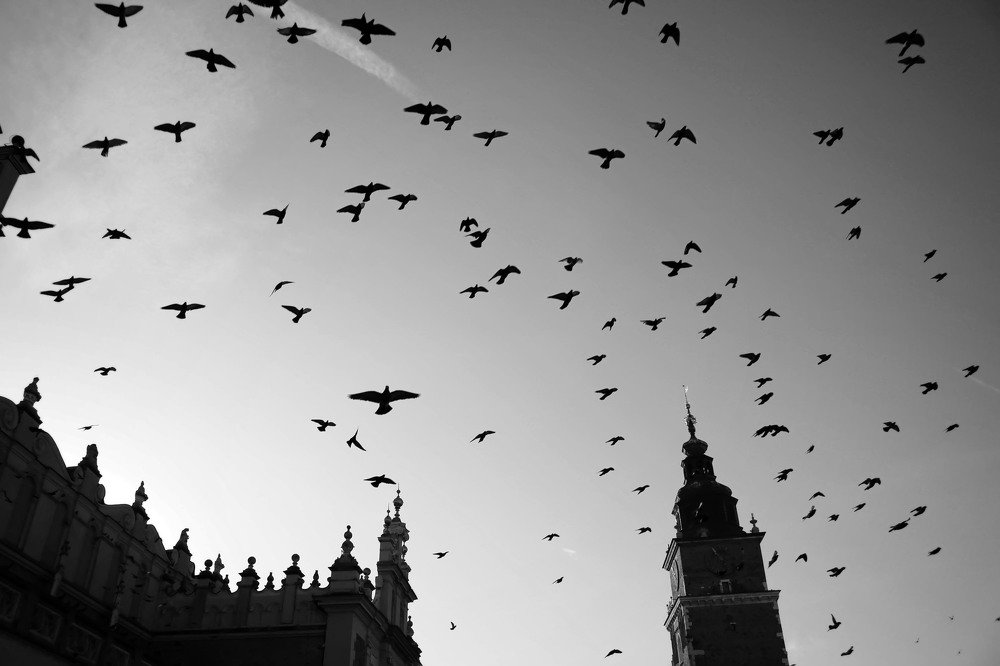 Фотография автора Анастасия Пищулова