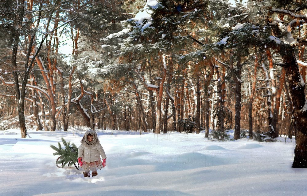 Photograph by Лилия Гаврилюк