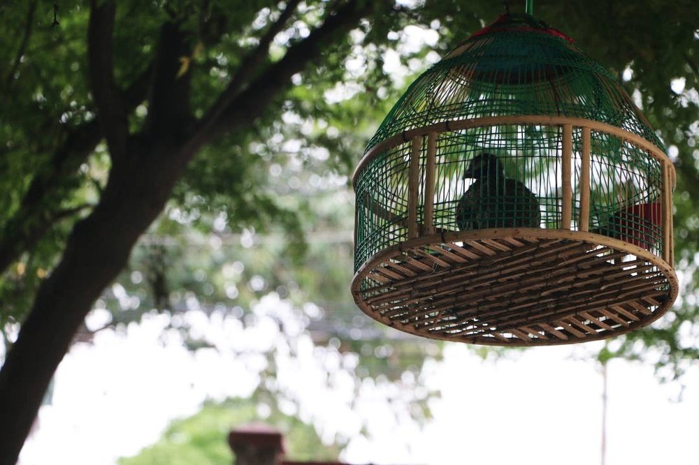 Photograph by Muhammad Abdullah Zeeshan