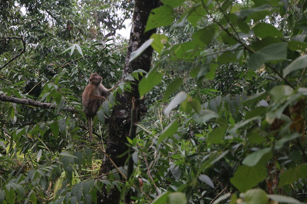 Photograph by Narottam Shrestha