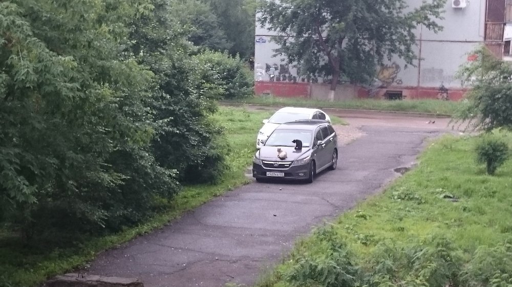 Photo #4109277