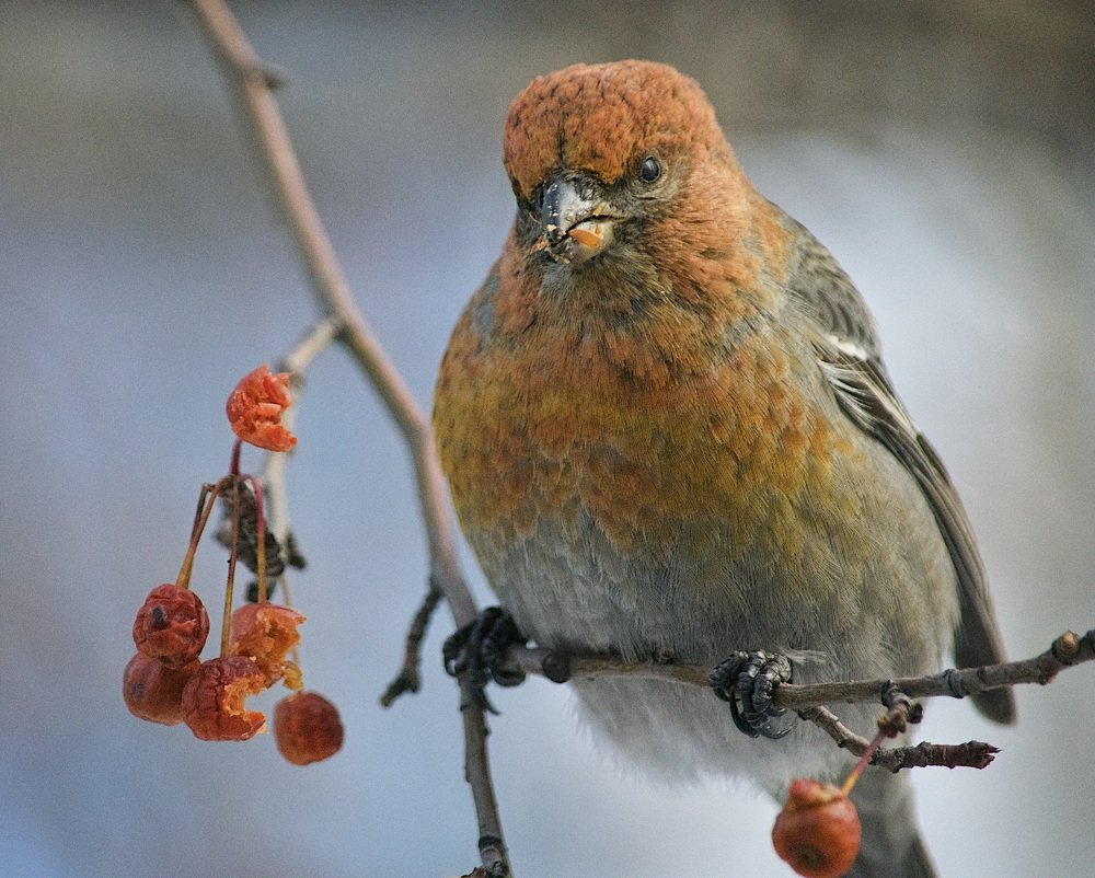 Photograph by @bersenika