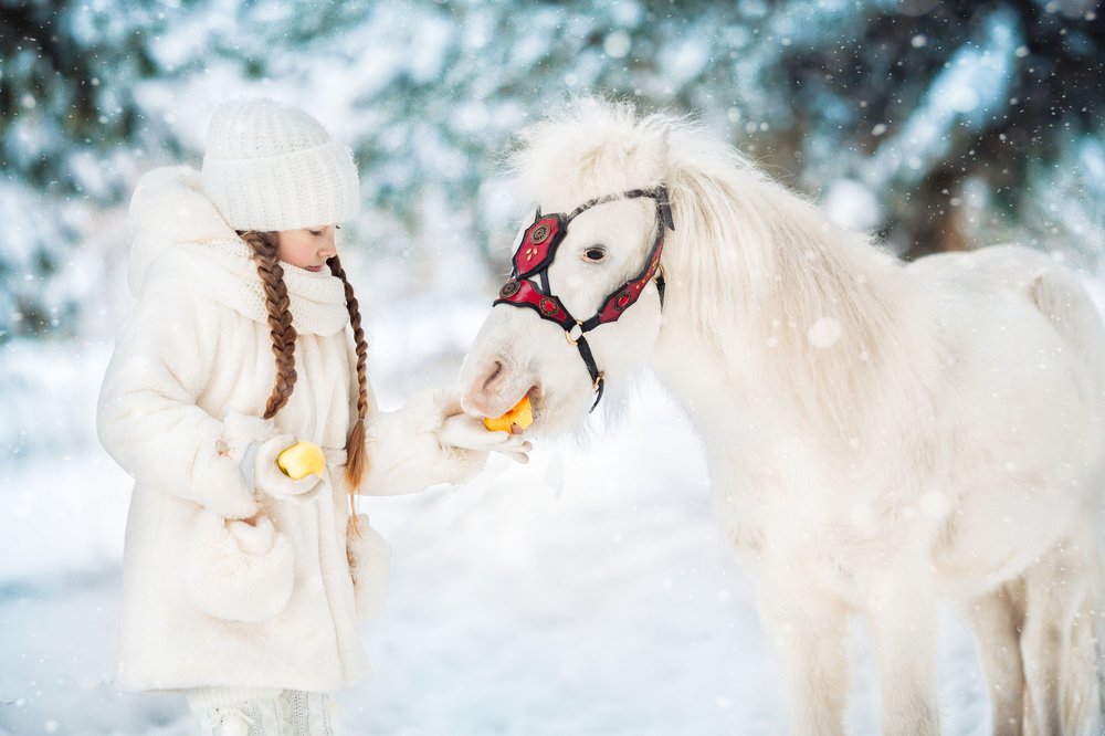 Photograph by Юлия Чашкина