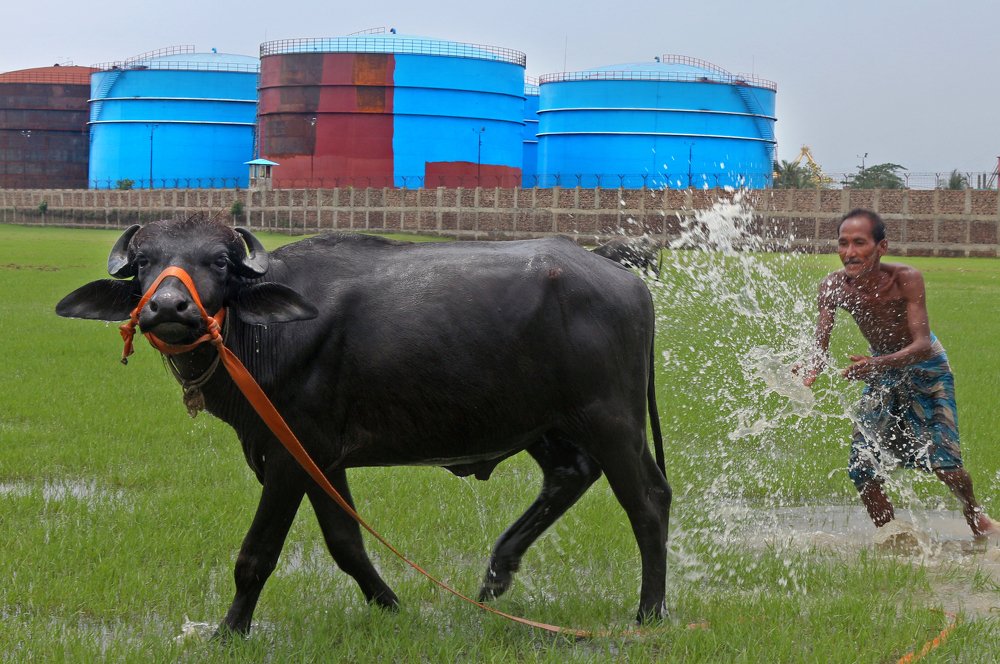 Photograph by Habib Faishal