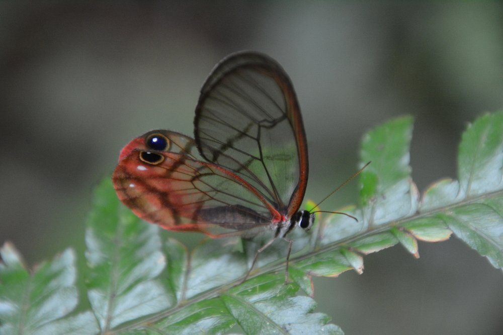 Photograph by Elisabetta Russotto