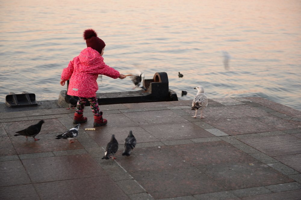 Photograph by Сергей Борисов