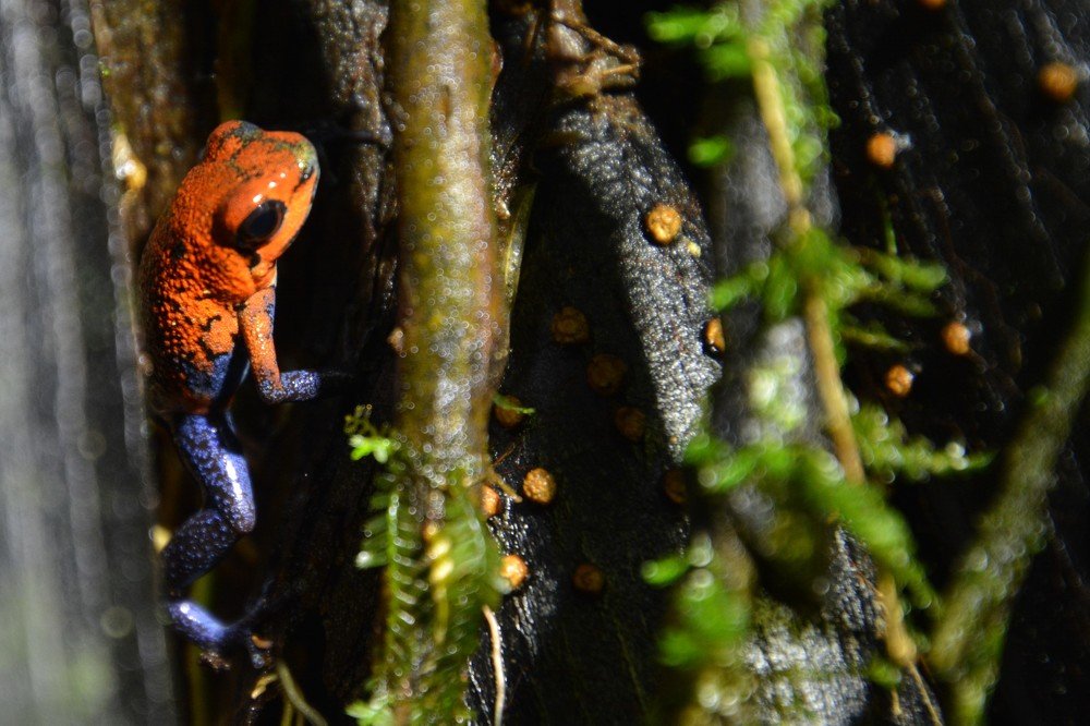 Photograph by Elisabetta Russotto