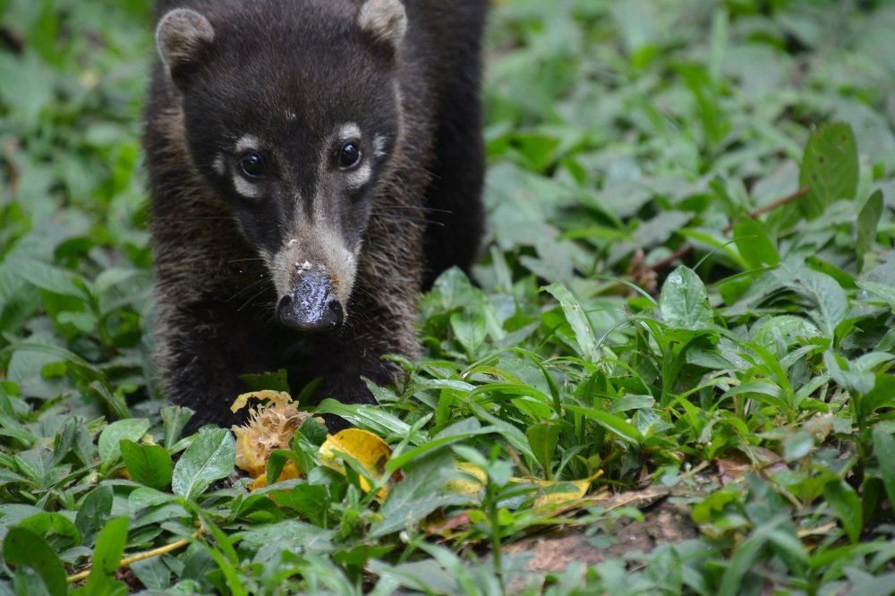 Photograph by Elisabetta Russotto