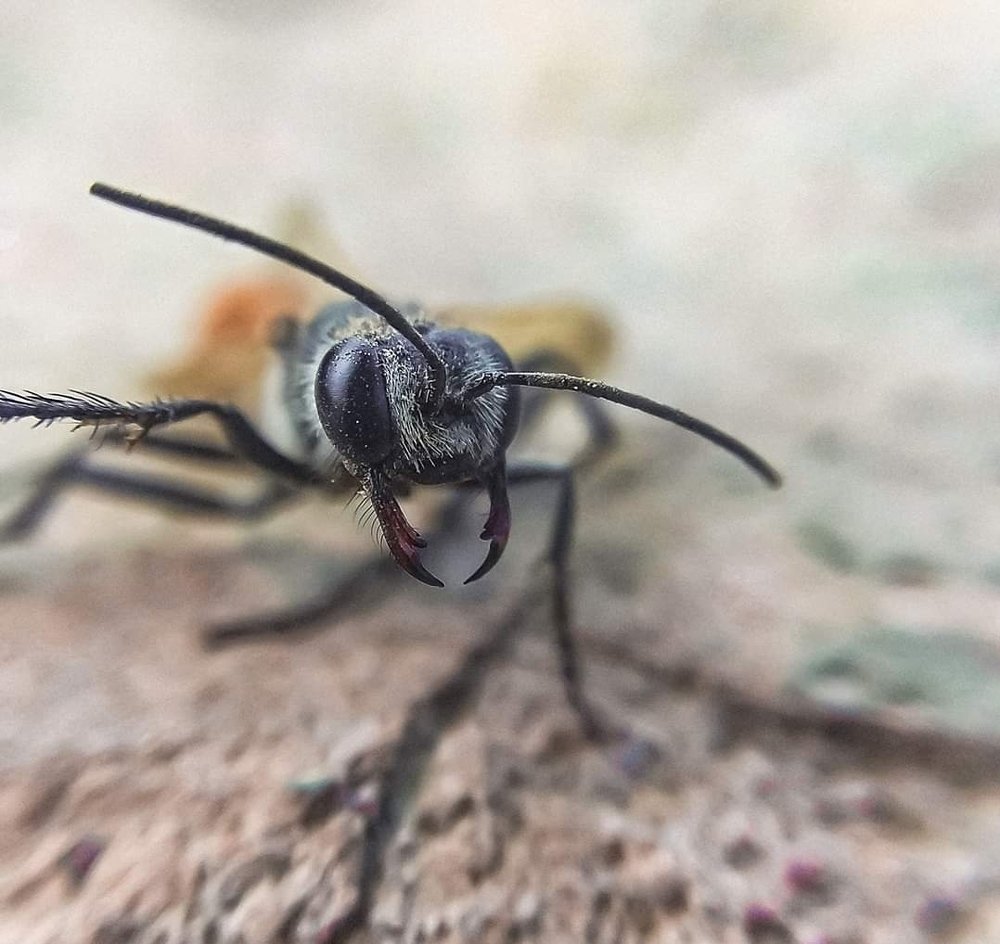 Photograph by Tarek El Magrabe