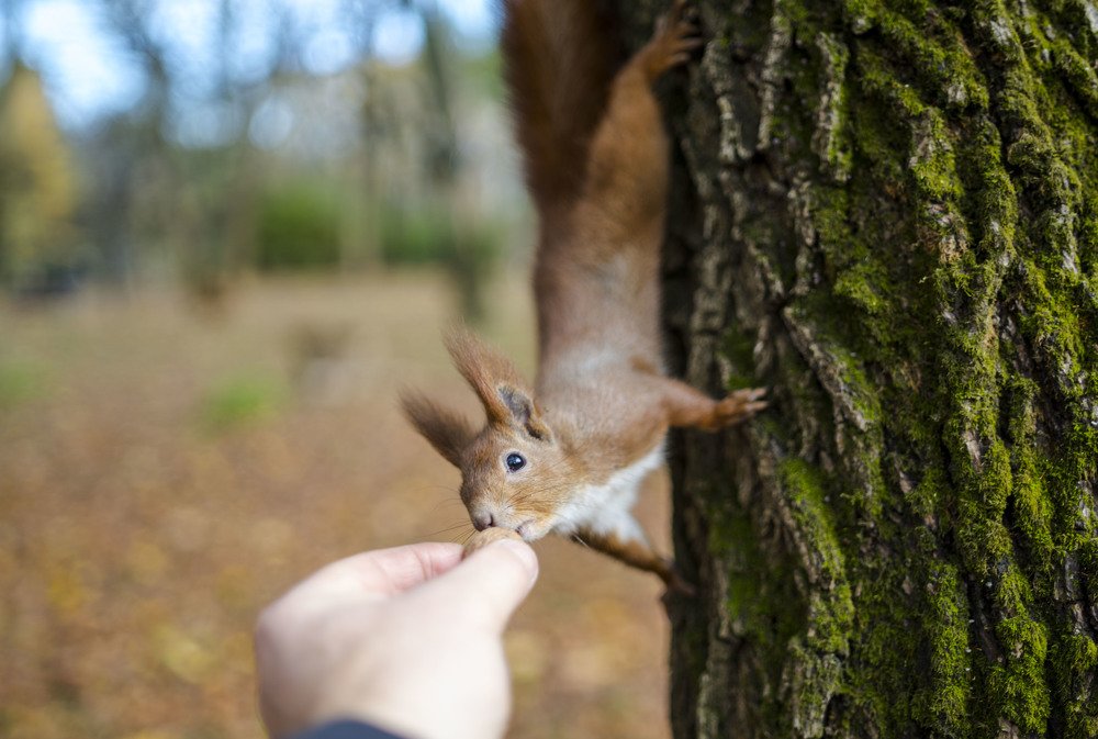 Photograph by Олесь