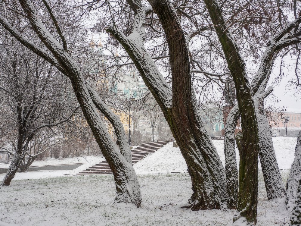 Photograph by Владимир Перепечаев