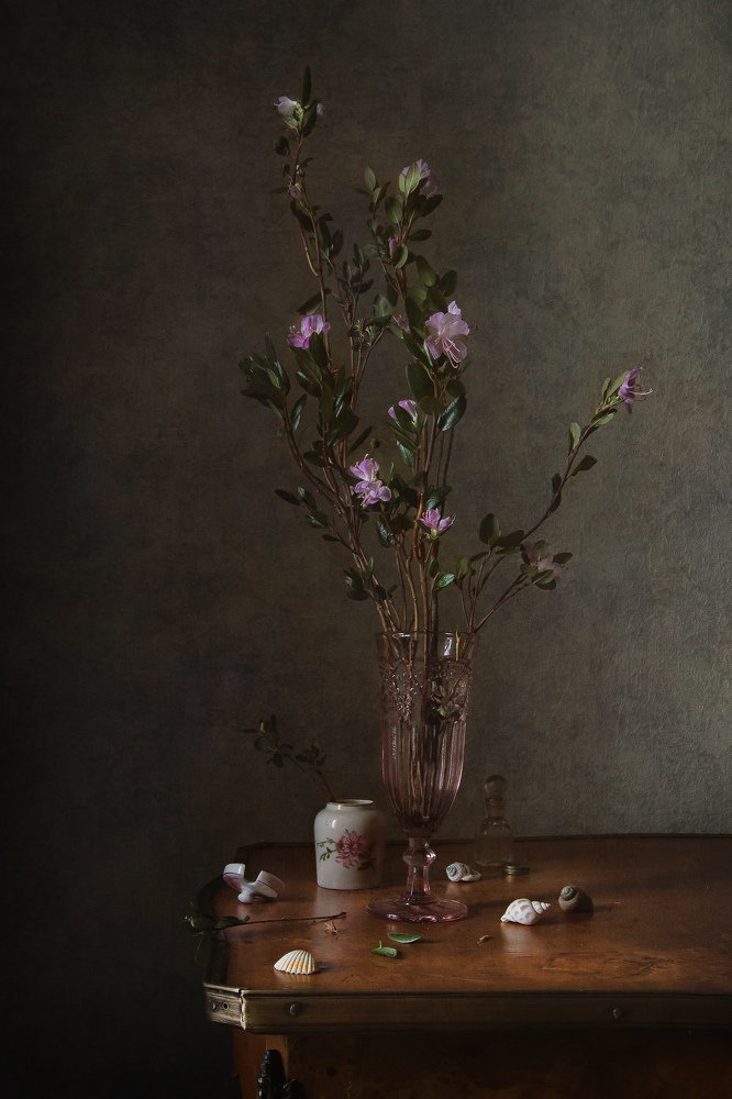 Фотография автора Анна Петина