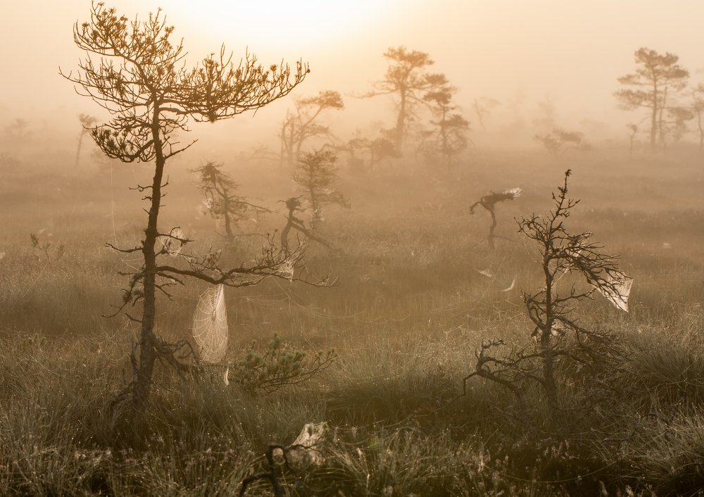 Photograph by Liga Udrina