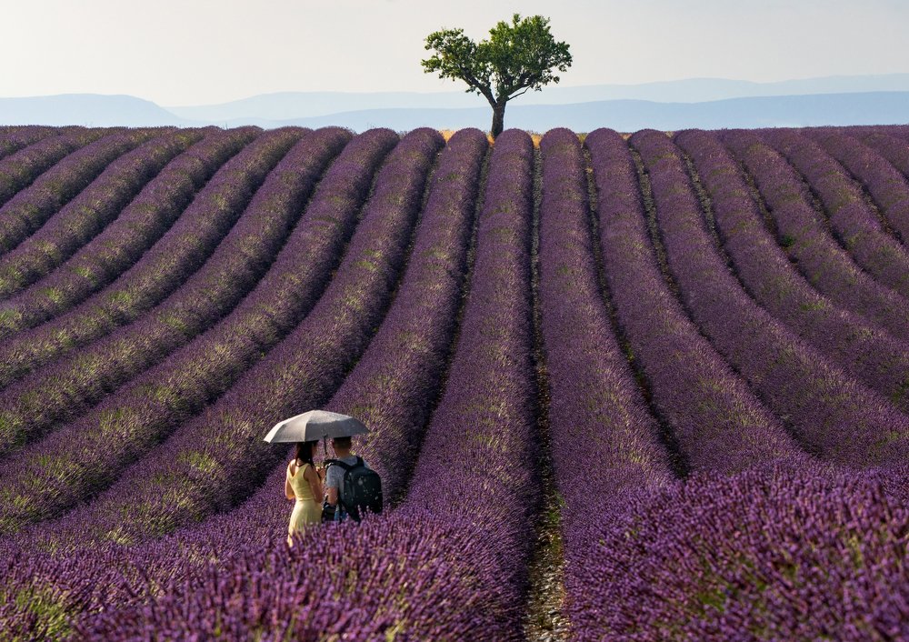 Photograph by Liga Udrina