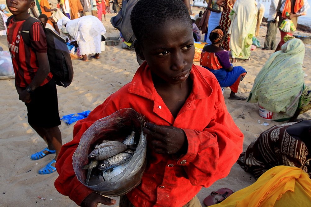 Первый заработок