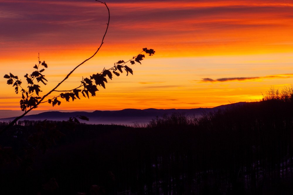 Photograph by Frantisek