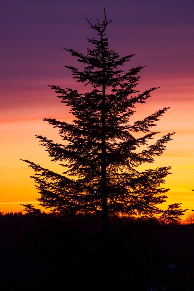 Photograph by Frantisek