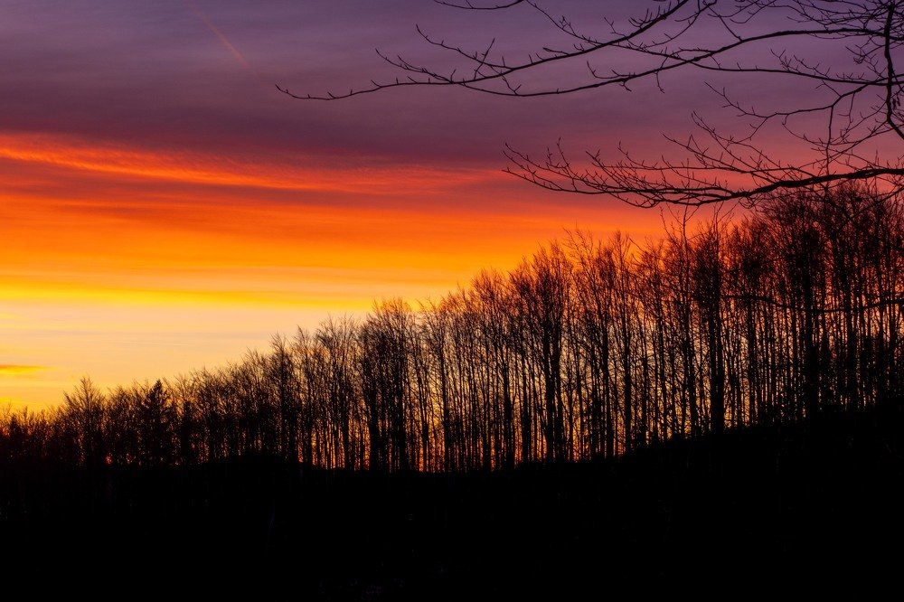 Photograph by Frantisek