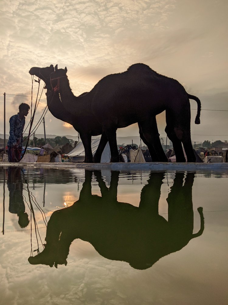 Фотография автора Nakul Harsh