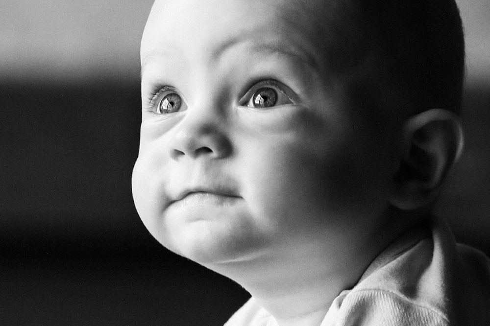 Photograph by Jane Voit