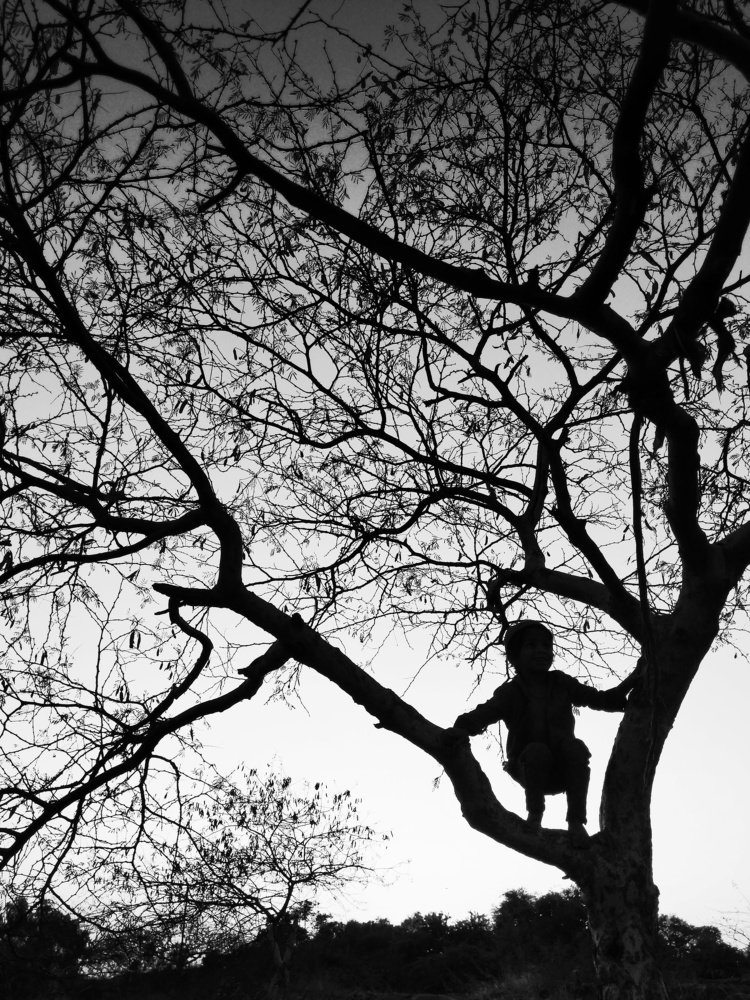 Фотография автора Nakul Harsh