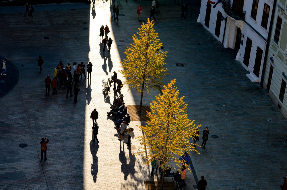 Фотография автора Zuzi Janek