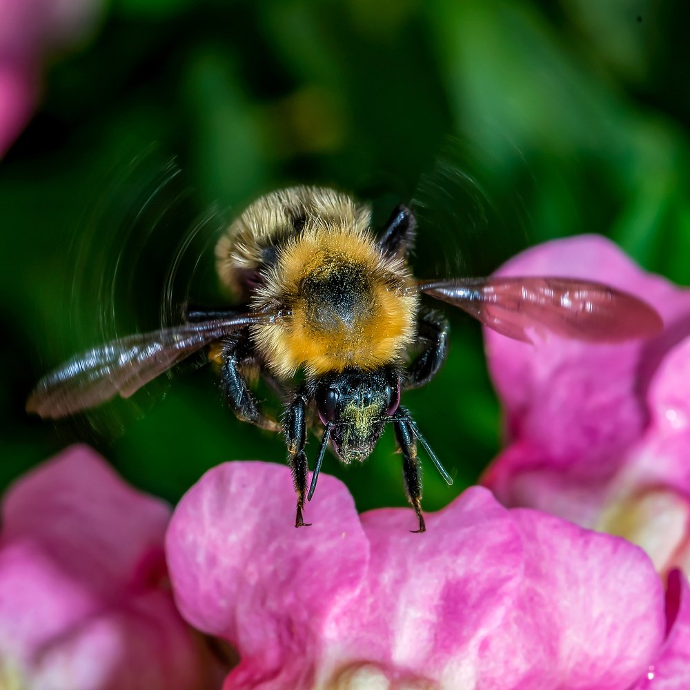 Мягкая посадка