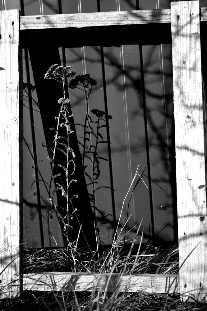 Картина природы