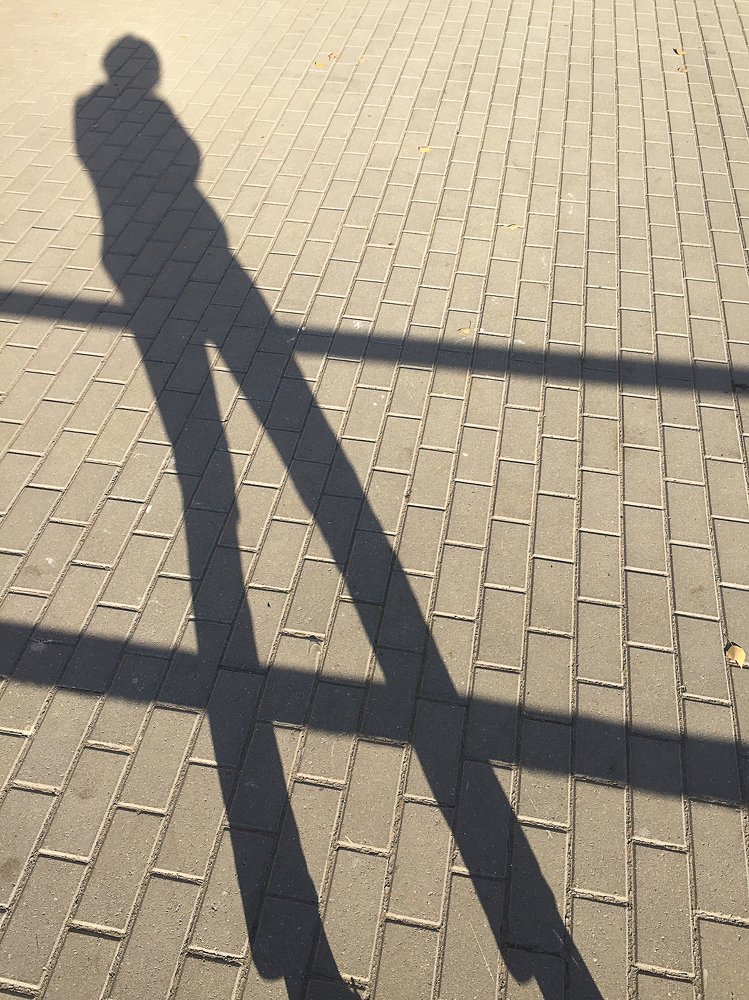 Фотография автора Ольга Матусевич