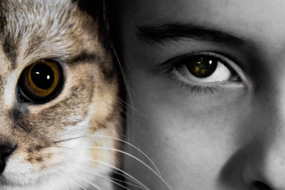 Photograph by Наталья Темная