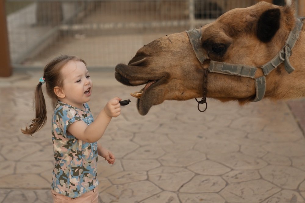 Photograph by Виктория Кузнецова