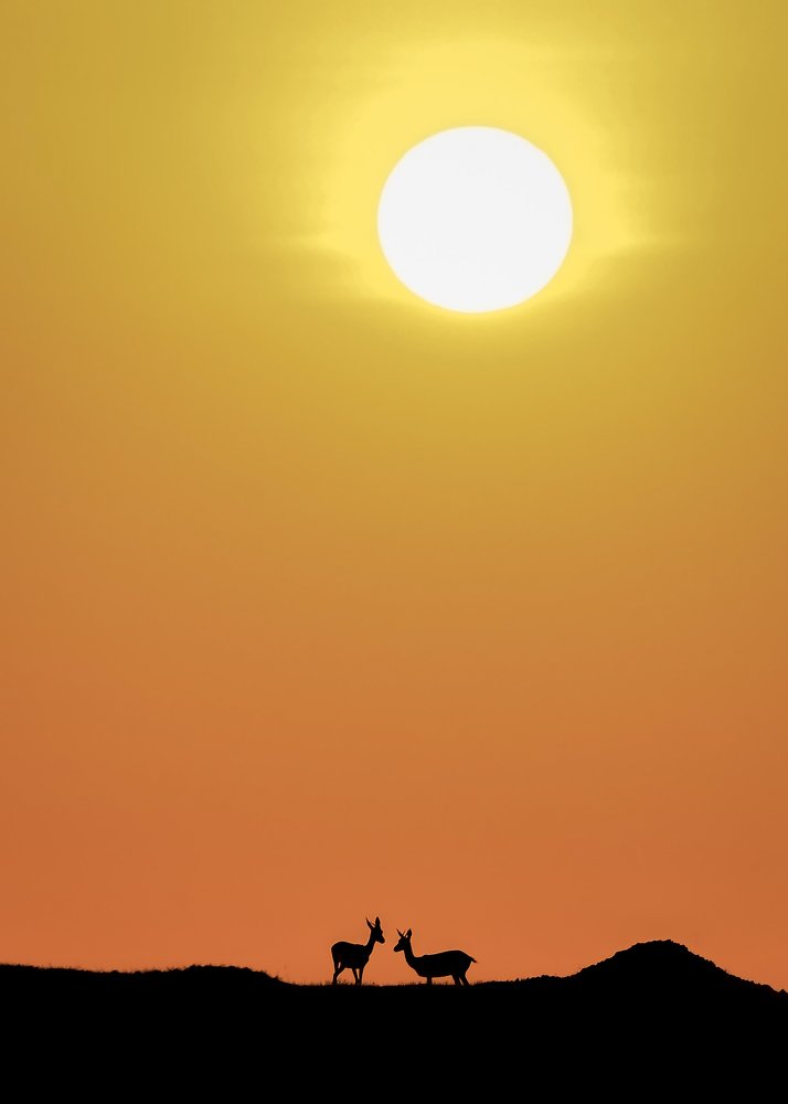 Under the sun ! ❤️