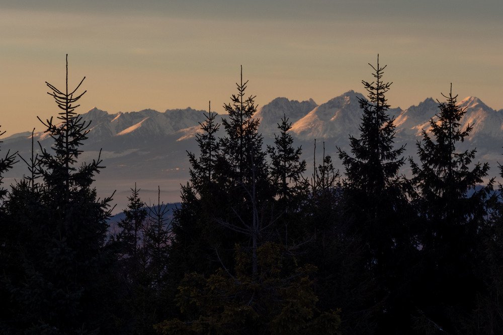 Photograph by Frantisek