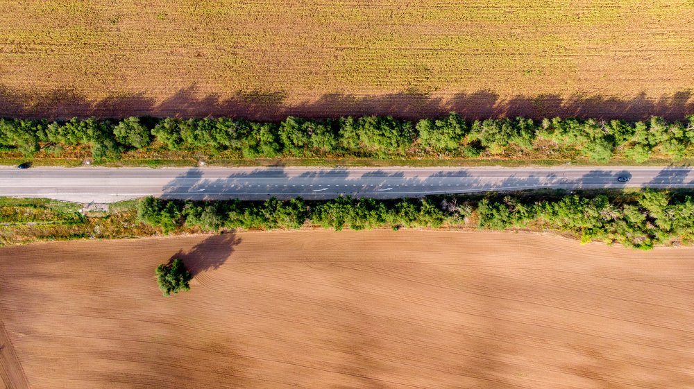 Photograph by Максим Королёв