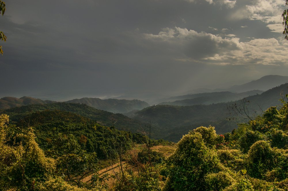 My Native Land after rain
