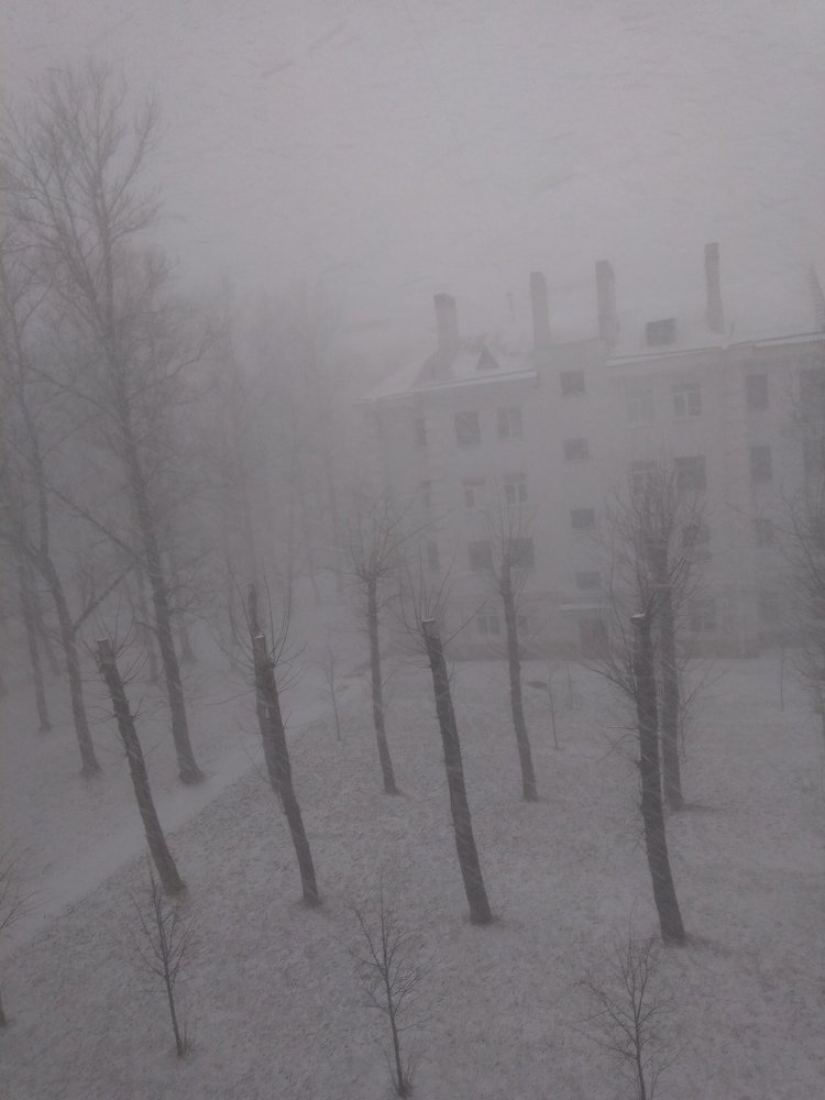 Photo #4110196