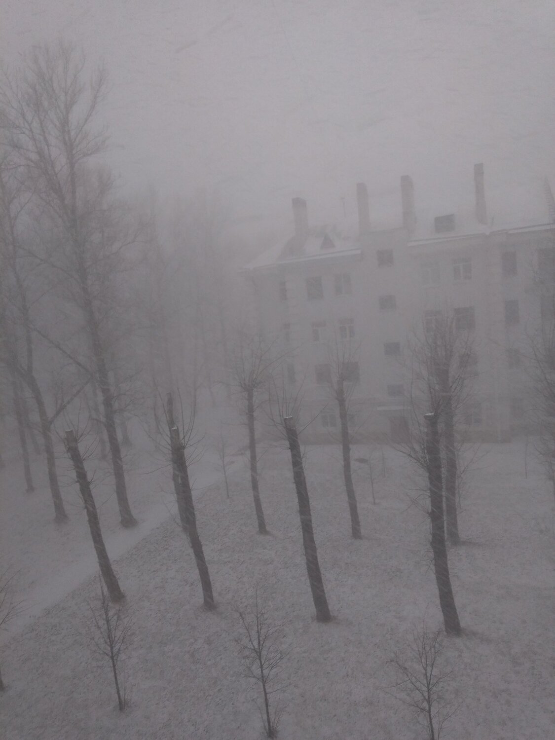 Photo #4110196